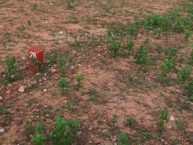 Land for sale in Rasipuram, Pudukkottai