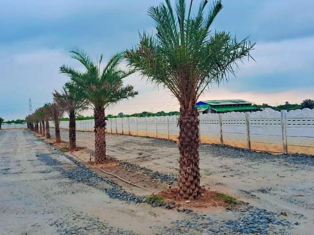 Land for sale in Rasipuram, Pudukkottai