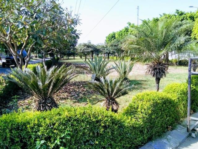 Land for sale in Madya