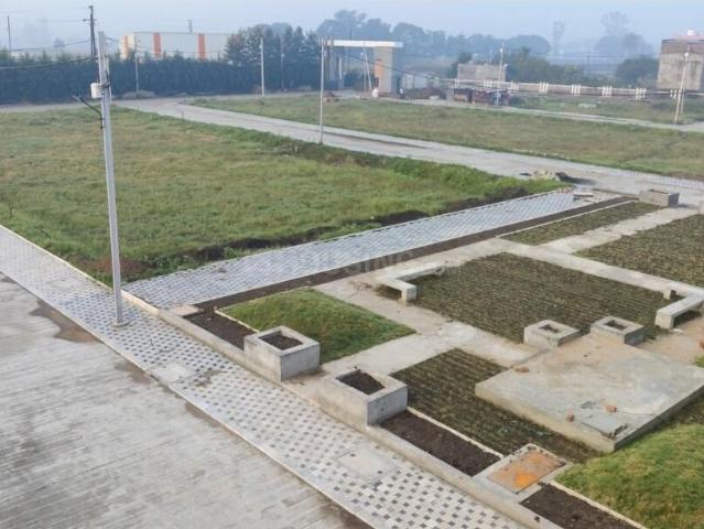 Land for sale in Madya