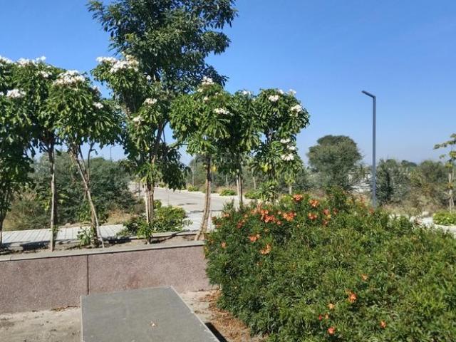 Land for sale in Mayakheri, Indore