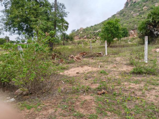 Land for sale in Ranga Reddy, Tarur