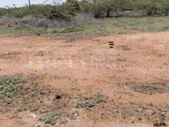 Land for sale in Madura, Tamil Nadu