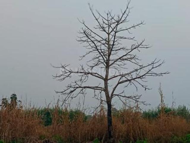 Land for sale in Kalyan-dombivali, National Capital Territory Of Delhi