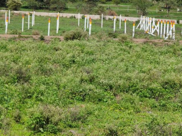 Land for sale in Nashik, National Capital Territory Of Delhi
