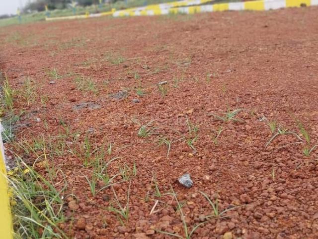 Land for sale in Minjur, Tamil Nadu