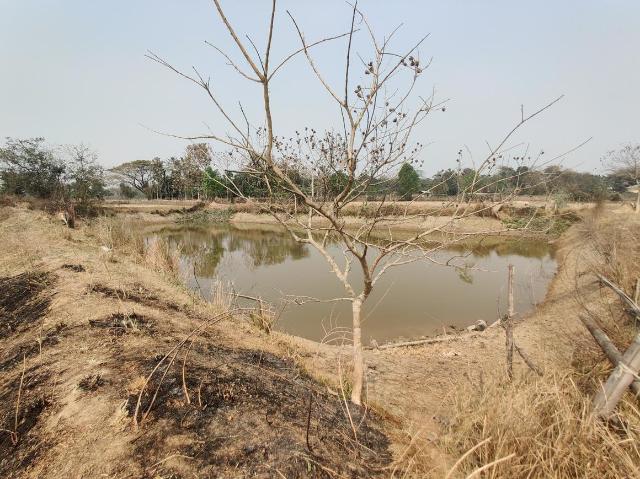 Land for sale in Mirza, Kamrup