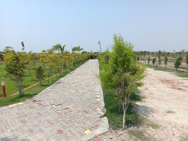 Land for sale in Mohanlalganj, Arunachal Pradesh