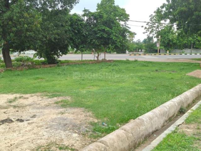 Land for sale in Mohanlalganj, Arunachal Pradesh