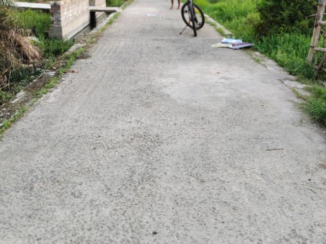 Land for sale in North 24 Parganas, Panihati