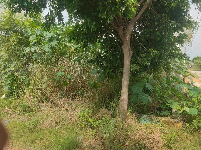 Land for sale in Vasundhara - Delhi, Arunachal Pradesh