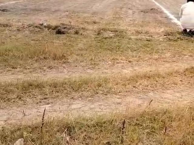 Land for sale in Chandauli, Arunachal Pradesh