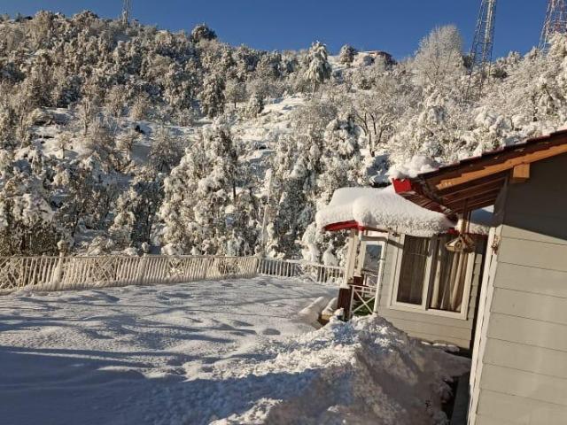 Land for sale in Mukteswar-kumaon, Uttarakhand