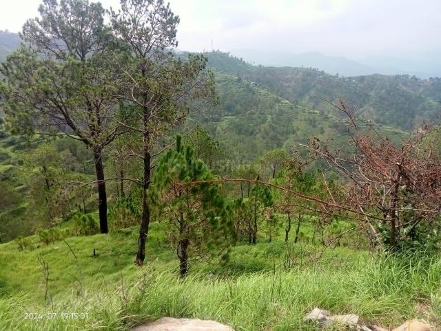 Land for sale in Mukteswar-kumaon, Uttarakhand