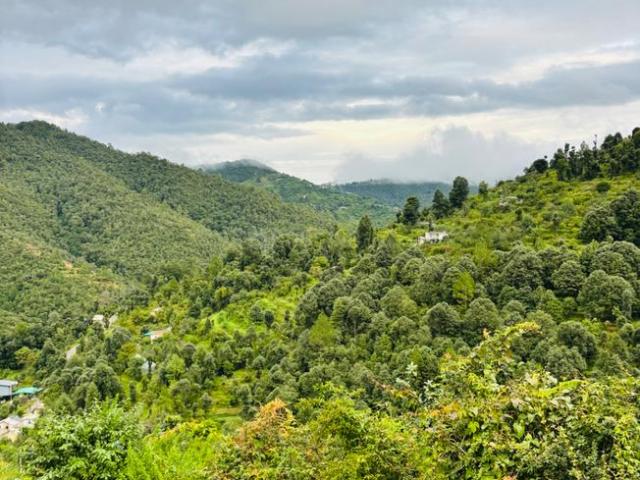 Land for sale in Mukteswar-kumaon, Uttarakhand