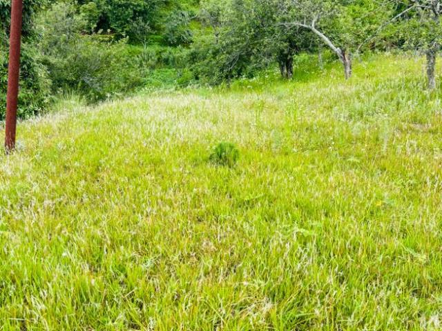 Land for sale in Mukteswar-kumaon, Uttarakhand