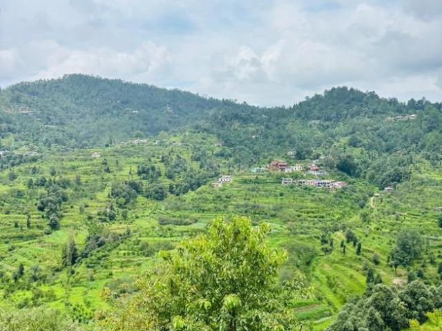 Land for sale in Mukteswar-kumaon, Uttarakhand