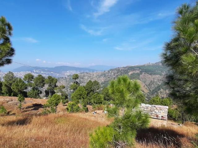 Land for sale in Mukteswar-kumaon, Uttarakhand
