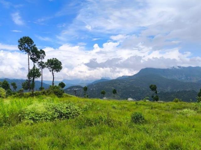 Land for sale in Mukteswar-kumaon, Uttarakhand