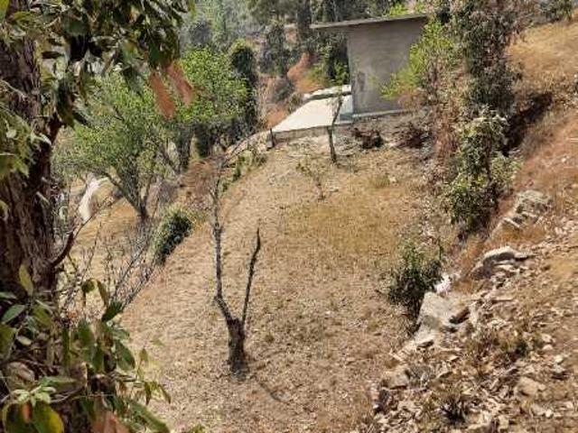 Land for sale in Mukteswar-kumaon, Uttarakhand