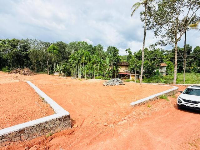Land for sale in Kerala