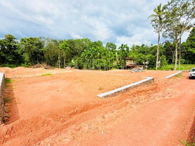 Land for sale in Mulanthuruthy, Ernakulam
