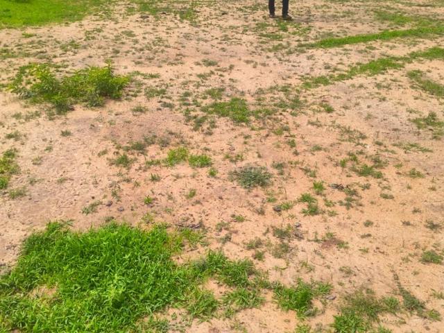 Land for sale in Munnirpallam, Tirunelveli