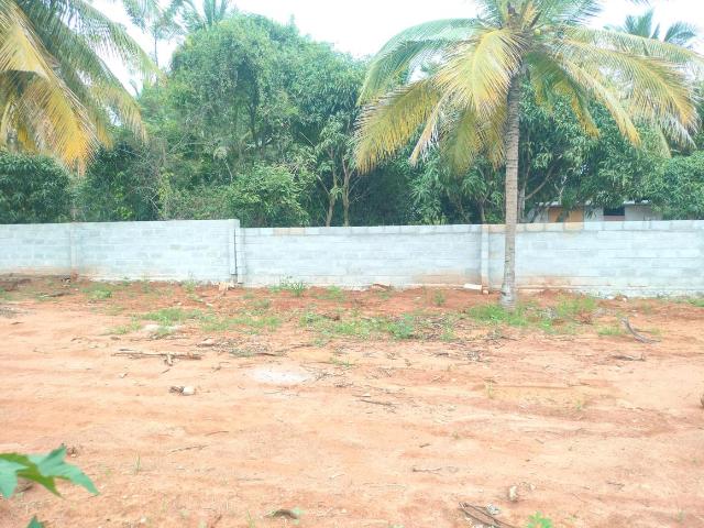 Land for sale in Arasinakunte, Nelamangala