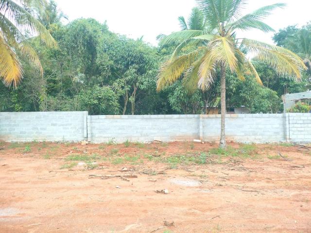Land for sale in Arasinakunte, Nelamangala