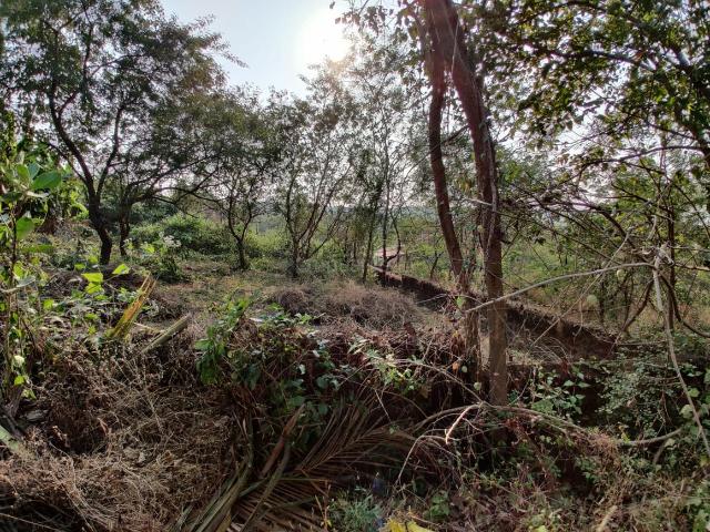 Land for sale in Ucassaim, Goa