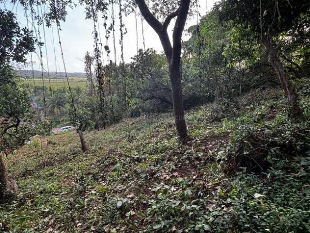 Land for sale in Ucassaim, Goa