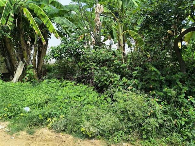Land for sale in Bangalore North, Cox Town - Bangalore