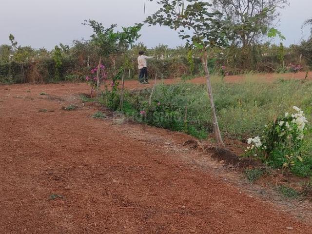 Land for sale in Durg, Chhattisgarh