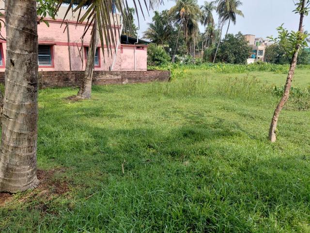 Land for sale in North 24 Parganas, Naihati
