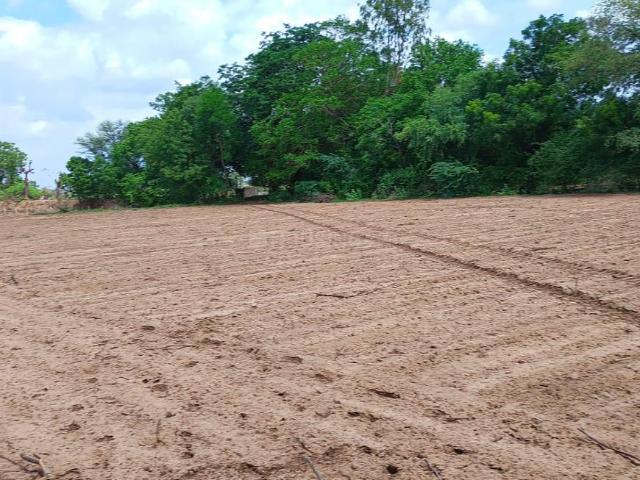 Land for sale in Bagodra, Gujarat