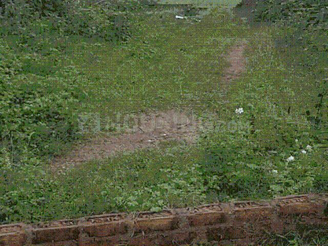 Land for sale in Jharkhand