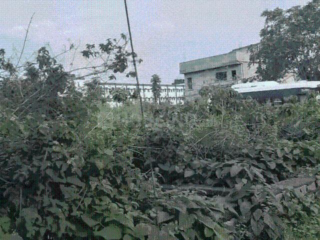 Land for sale in Jharkhand