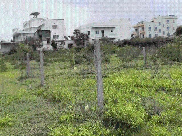 Land for sale in Jharkhand