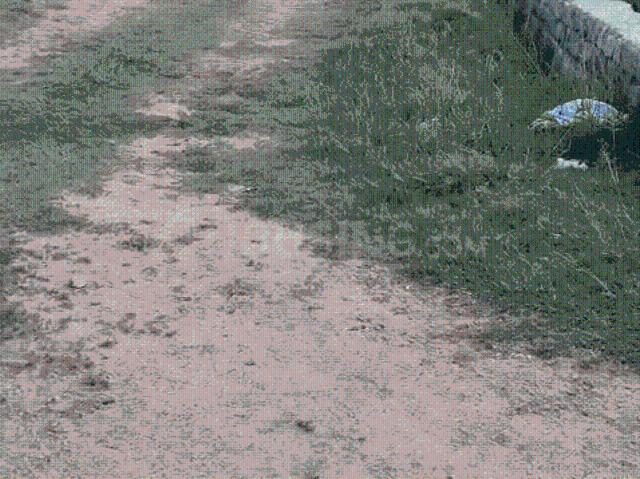 Land for sale in Jharkhand