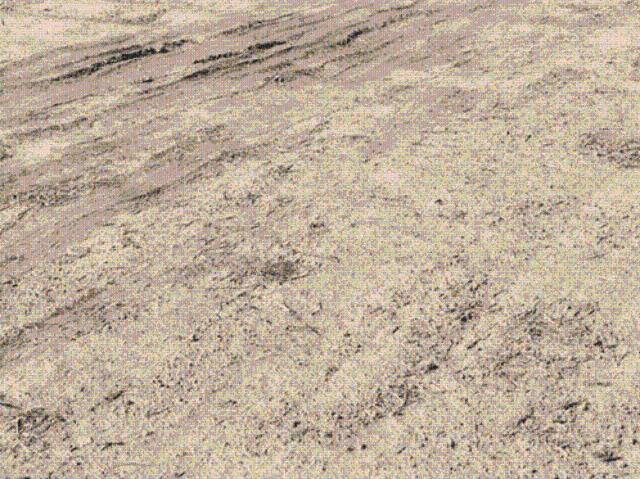 Land for sale in Mathara, Arunachal Pradesh