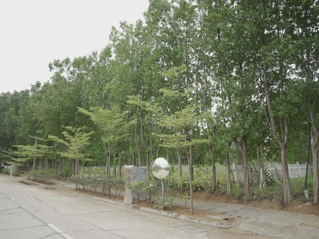 Land for sale in Karnataka