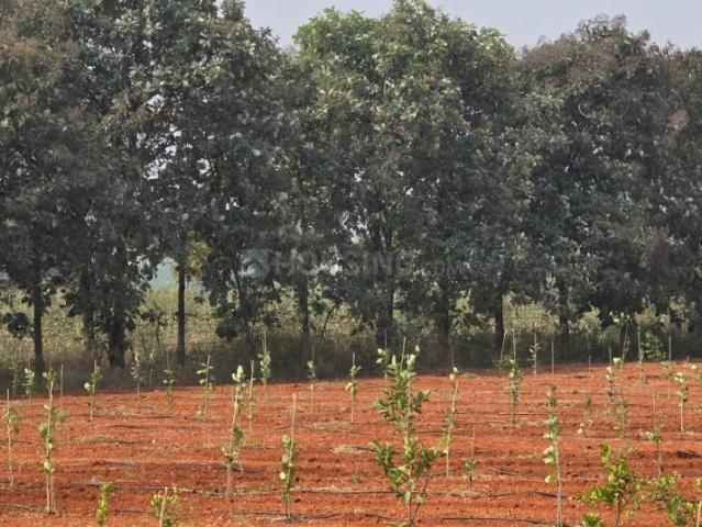 Land for sale in Narayankhed, Telangana