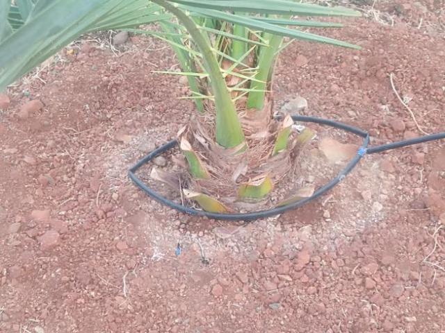 Land for sale in Narayankhed, Telangana