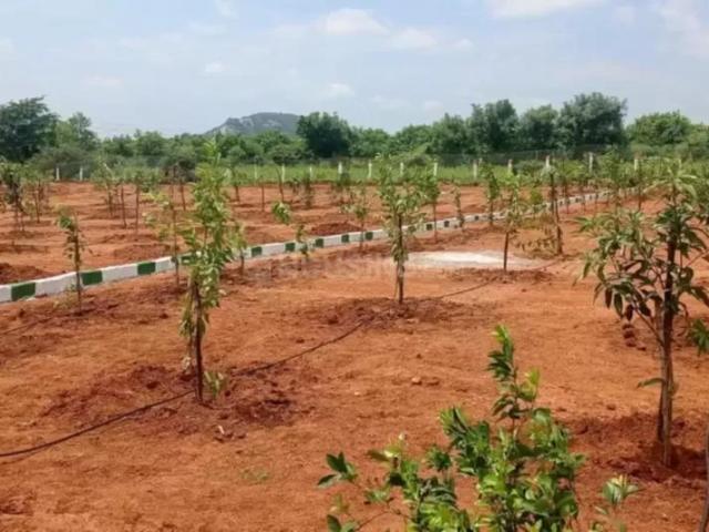 Land for sale in Narayankhed, Telangana
