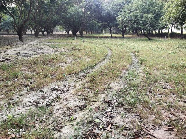 Land for sale in Bihar