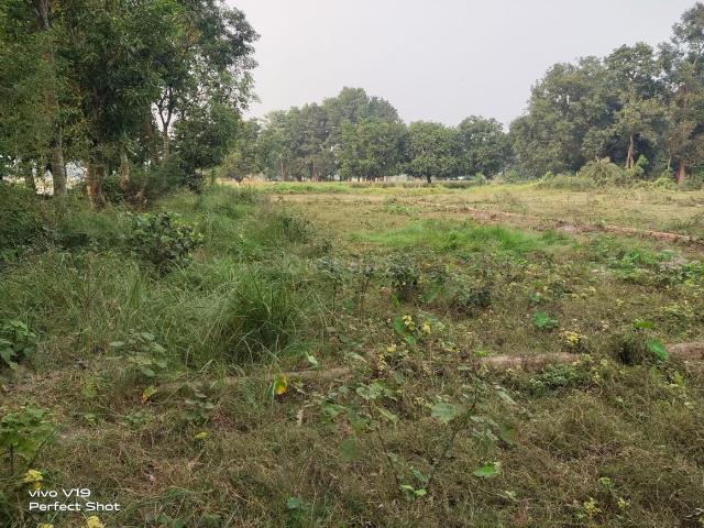 Land for sale in Bihar