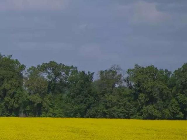 Land for sale in Rawalpindi, Islamabad Capital Territory