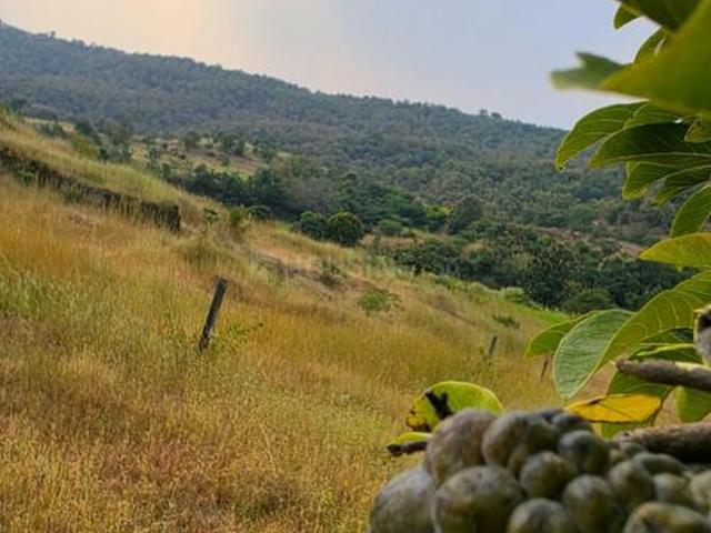 Land for sale in Nasrapur, Pune