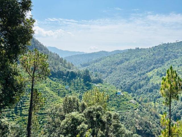 Land for sale in Uttarakhand