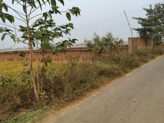 Land for sale in Bihar